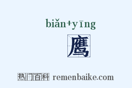鴘鹰是什么意思的图片